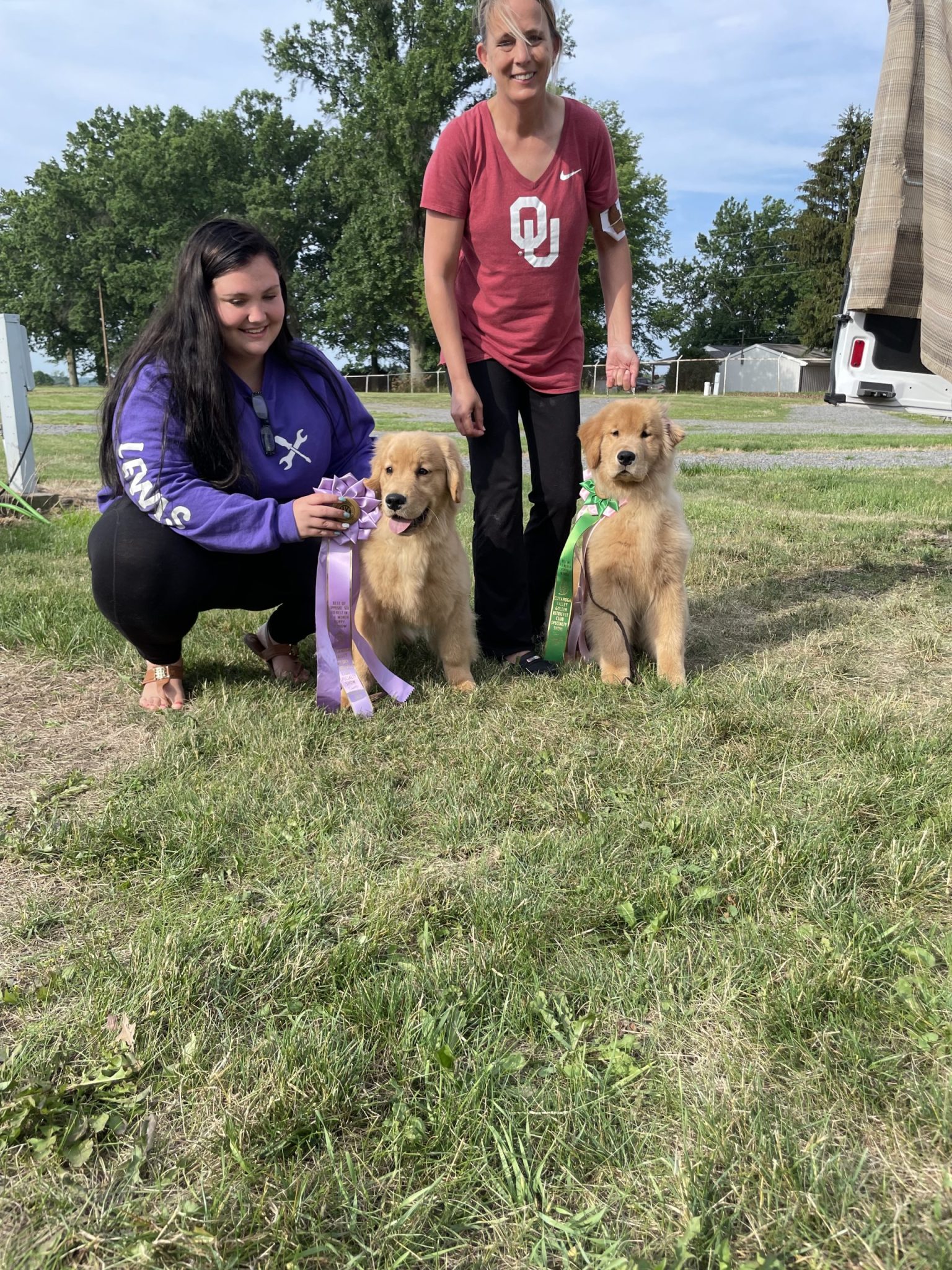 News Misty Meadows Kennels